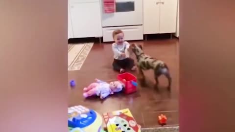 Dogs are the best friend of Babies 61