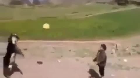 Amazing goat playing ball with a head (Cute Video)