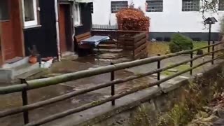 Altenau Harz Mountains in rain