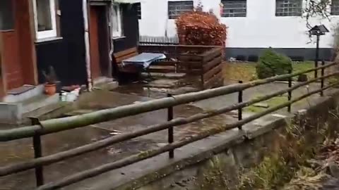 Altenau Harz Mountains in rain