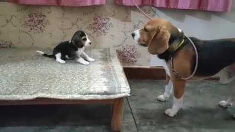Deep conversation between father and daughter