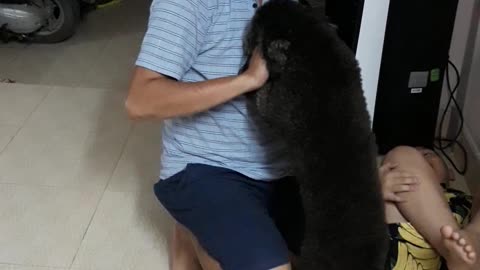 Puppy Protects Boy From Pretending Father