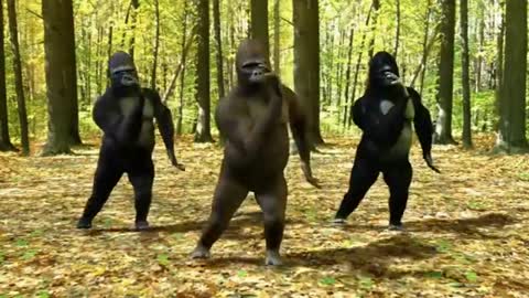 Alex_Ferrari_-_ Bara Bere ft. Dancing gorillas
