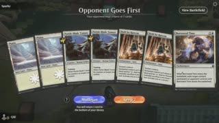 Magic: The Gathering: Arena (PC) E1.7