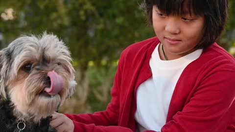 Funny dog and girl #shorts goh Video in best animal short funny video girl n dog