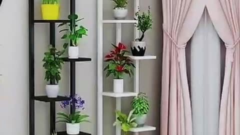 Indoor plants decor ideas