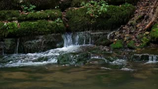 Serenity by the River: Soothing River Sounds for Relaxation - Tranquil Waters for Restful Sleep