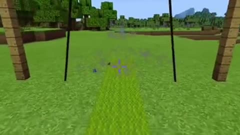 Actual working swing in minecraft!!