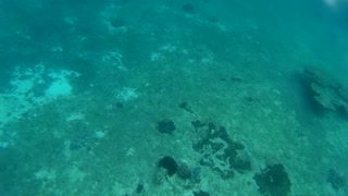 Jacques Cousteau monument Cozumel