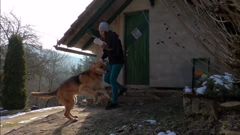 Dog Waiting In Front of a Door