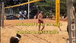 😘 🤣 🤽‍♀JOGO 🤾‍♀🤾‍♂BONITO DO 🐶PERRITO.👍