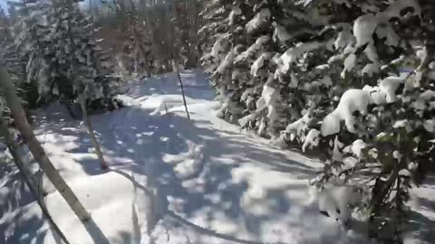 Colorado Snowboarding March 2022