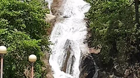 Water falls from the waterfall.