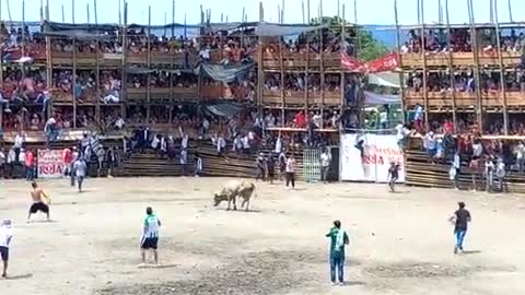 NEW - Multiple dead, hundreds injured in stadium collapse at bullfight in El Espinal, Colombia.
