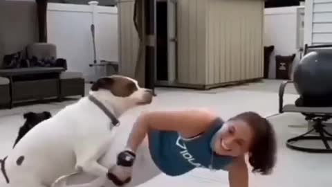 Dog tries to fuck a beautiful girl