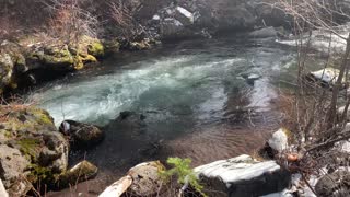 Hiking Along Beautiful Whychus Creek – Central Oregon
