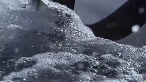 Frozen Planet: Penguins Launch Like Rockets
