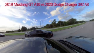 2019 Mustang GT A10 vs Dodge Charger 392's & Mustangs