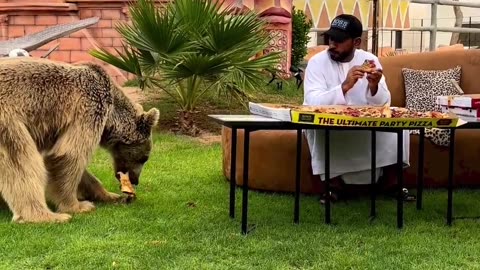 Dubai 🇦🇪 King 👑 Sheikh Nawab With White Lion 🦁 White Tiger 🐅 #Dubai #Lion #Shorts