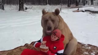 Bear Enjoys Snack on Blanket