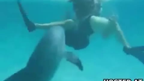 Flipper Attempts to "Rape" Woman