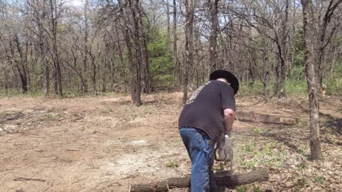The Ohse Homestead Removing a Tree