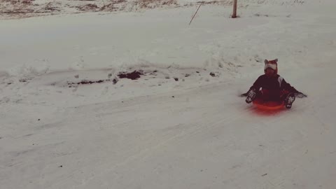 Kids and Sleds!