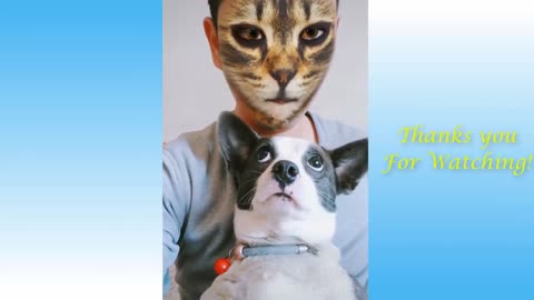 Cats and dogs funny reaction to filter apps