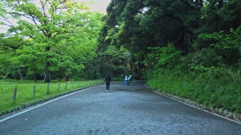 Meiji Jingu: A Tranquil Escape in the Bustling Metropolis