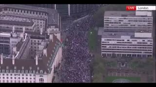 Pro Palestine HAMAS Demonstrations in London