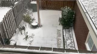 Snow in the Netherlands (2021)