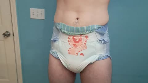 Wadler incontinence briefs_ how they look and fit