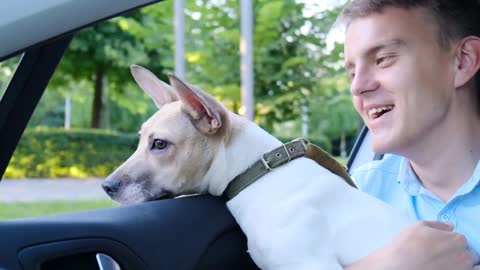 Cheerful guy traveling by car with a dog