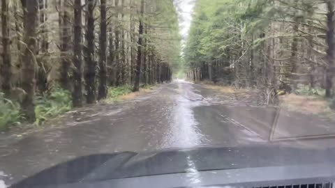 It rains just a bit in Washington State (Spring 2020)