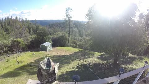 Great Paper Airplane Throw in Northern California Near American RIver