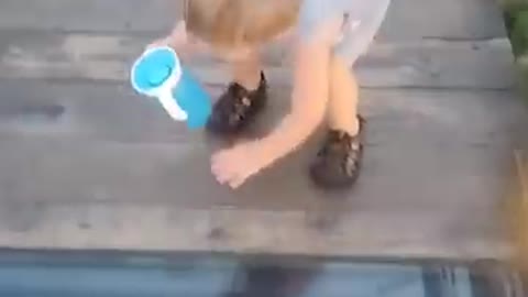 Toddler_Attempts_to_cross_onto_the_Glass_Bridge