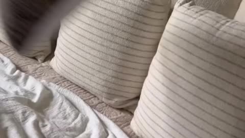 These sheets are SO soft & were the perfect foundation for my fall bedding makeover 🍂