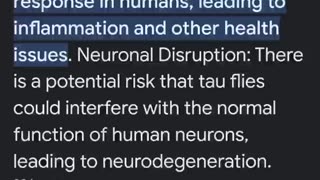 The dangers of the invasive Tau fruit flies!