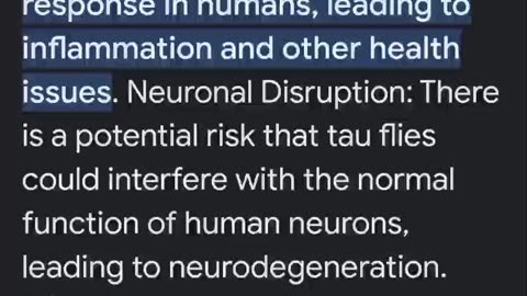 The dangers of the invasive Tau fruit flies!