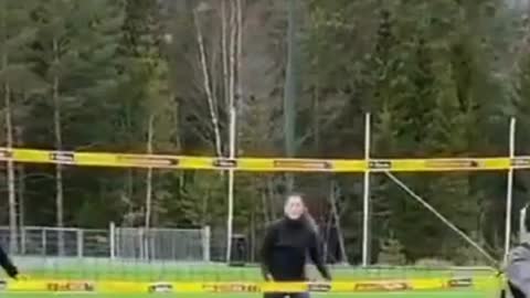 Dog playing volleyball