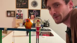 Parrot practices beats with his dad