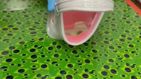 Hydro Dipping crocs 😎😎 #satisfying