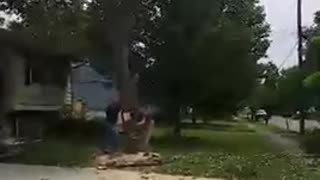 A Man Cuts Down A Tree And It Falls On His House