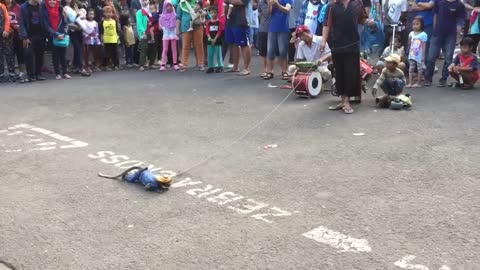 Walking street monkey show, Surabaya. Animal abuse or cultural show?