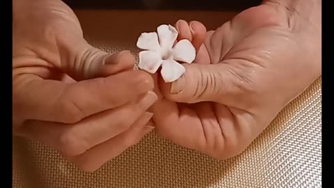 2nd Try at Gum Paste Flowers