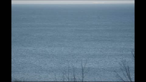 berryhead english channel - Ships and boats that go by - 03-11-2023