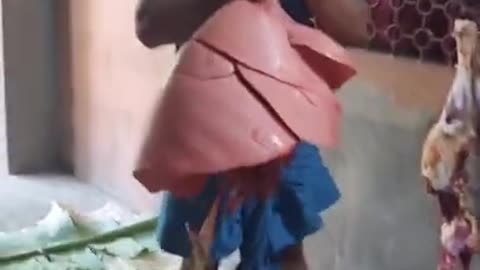 funny video/tictok video/eid day funny video