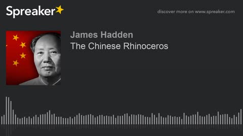 The Chinese Rhinoceros