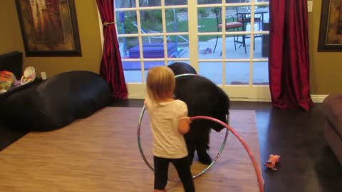 Toddler tries teaching dog to Hula Hoop