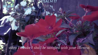 psalm 17